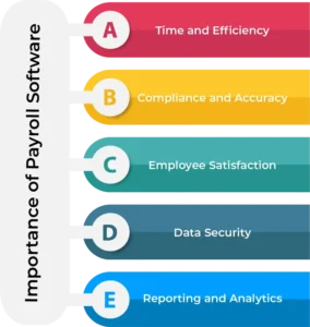 Importance of Payroll Software vector